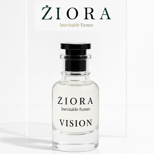 VISION (IMAGINATION BY LV)