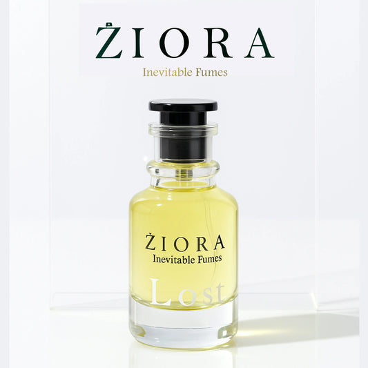 LOST (Lacoste White)