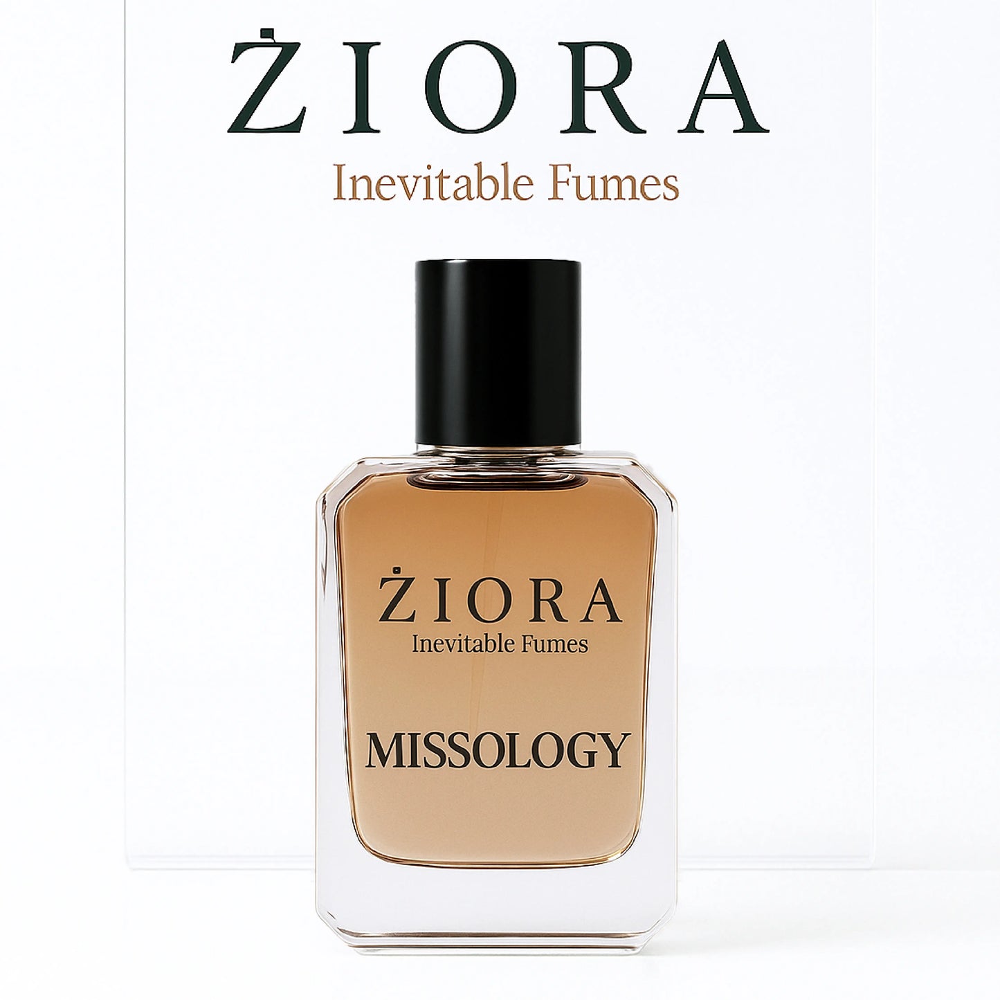 MISSOLOGY (Burberry London)