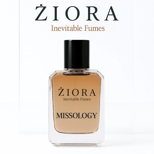 MISSOLOGY (Burberry London)