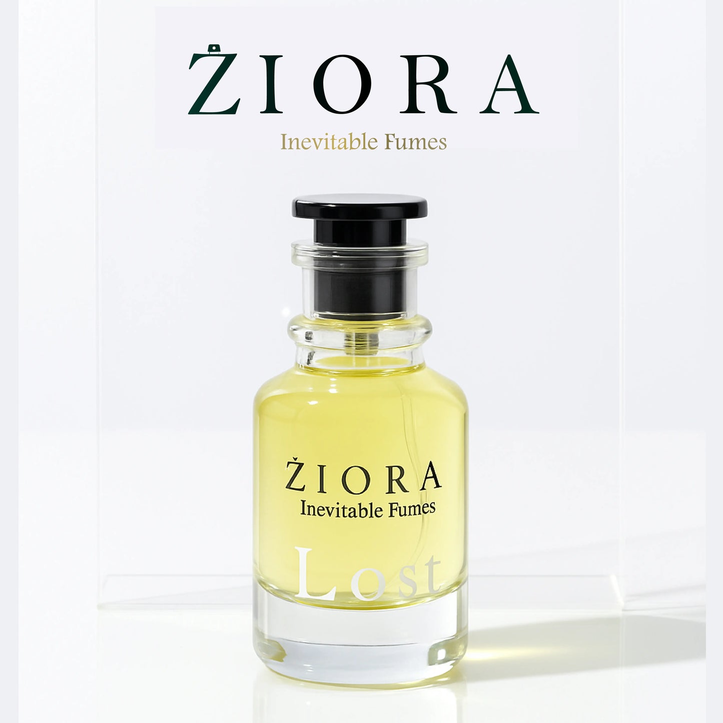 LOST (Lacoste White)